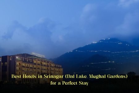Best Hotels in Srinagar (Dal Lake, Mughal Gardens) for a Perfect Stay